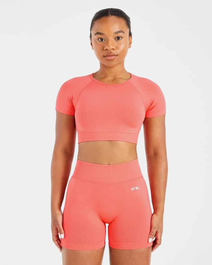 Adapt Seamless Crop-Top