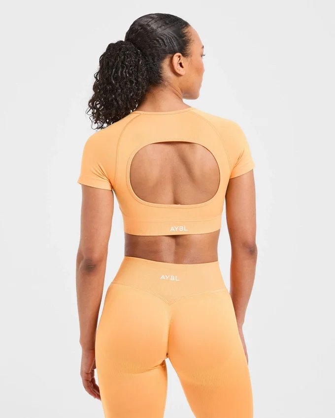 Adapt Seamless Crop-Top