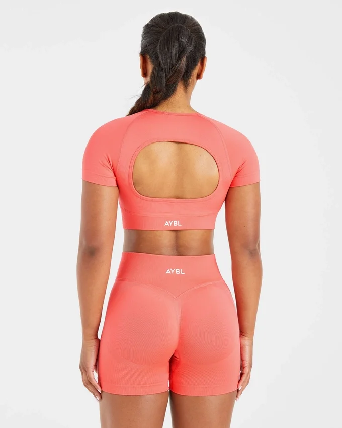 Adapt Seamless Crop-Top