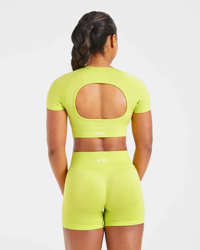 Adapt Seamless Crop-Top