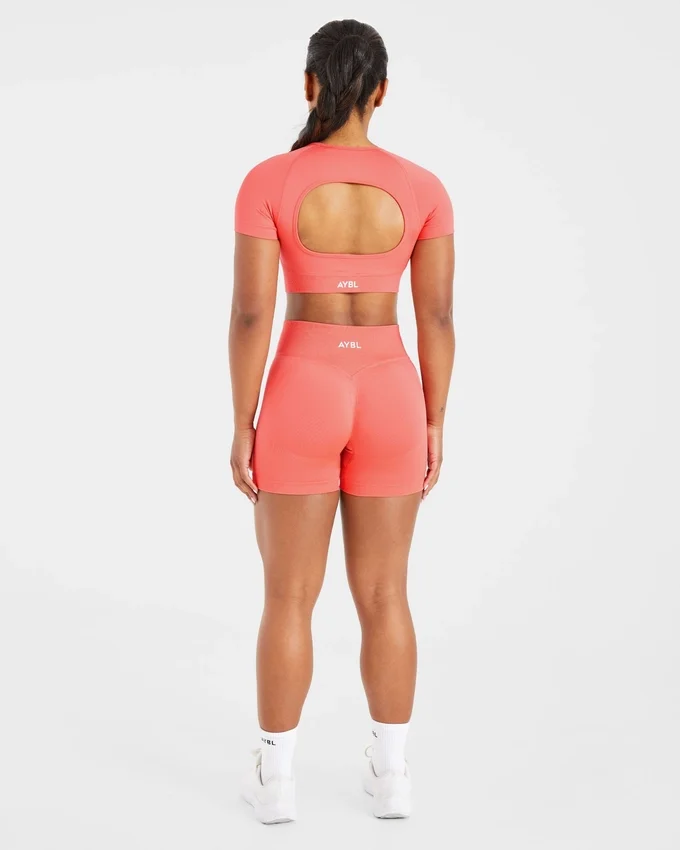 Adapt Seamless Crop-Top