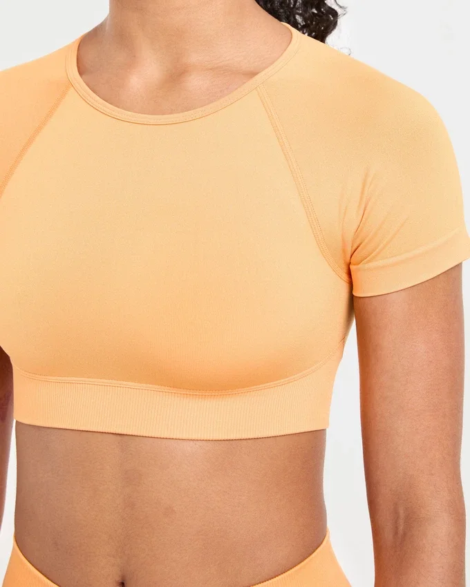 Adapt Seamless Crop-Top