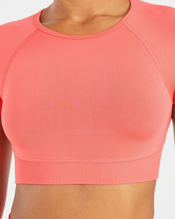 Adapt Seamless Crop-Top