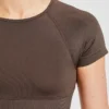 Adapt Seamless Crop-Top