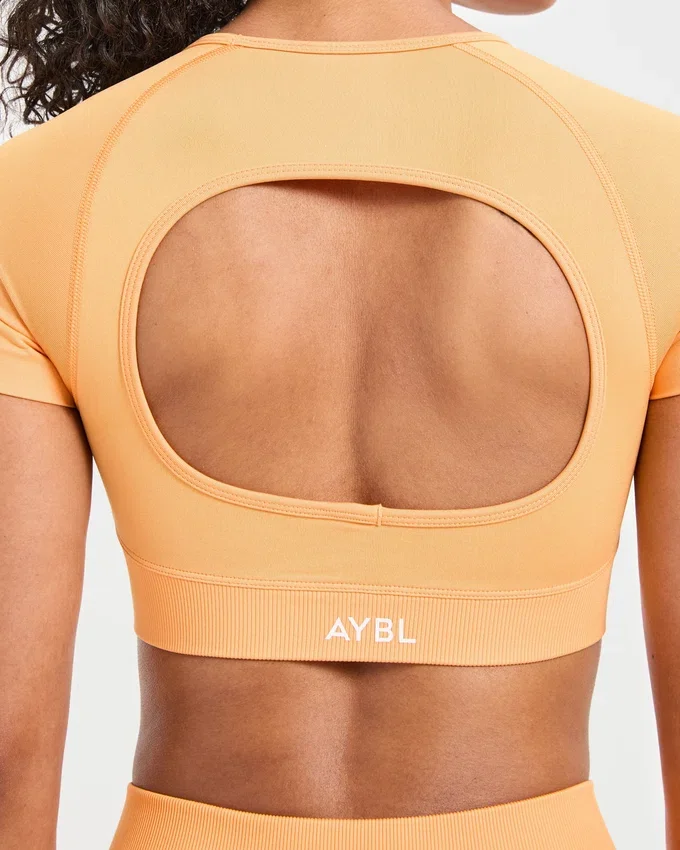 Adapt Seamless Crop-Top