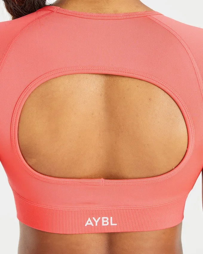 Adapt Seamless Crop-Top