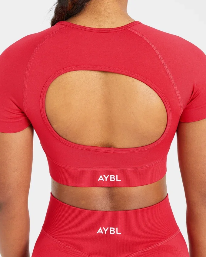 Adapt Seamless Crop-Top
