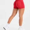 Adapt Seamless Shorts | 4,5"