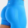 Adapt Seamless Shorts | 4,5"