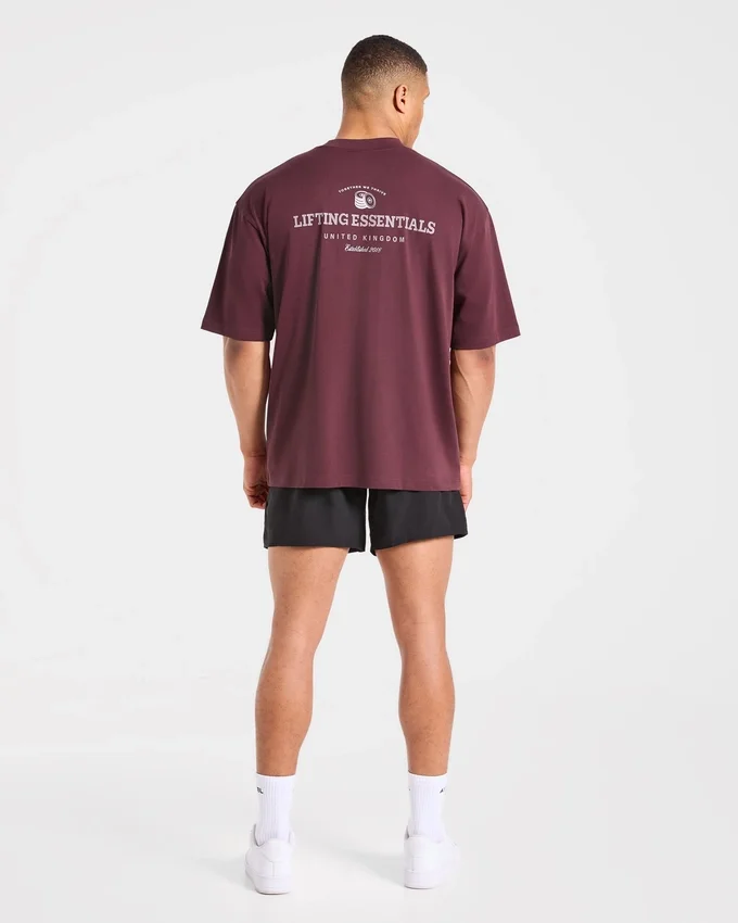 Apex Lifting Essential Oversize-T-Shirt