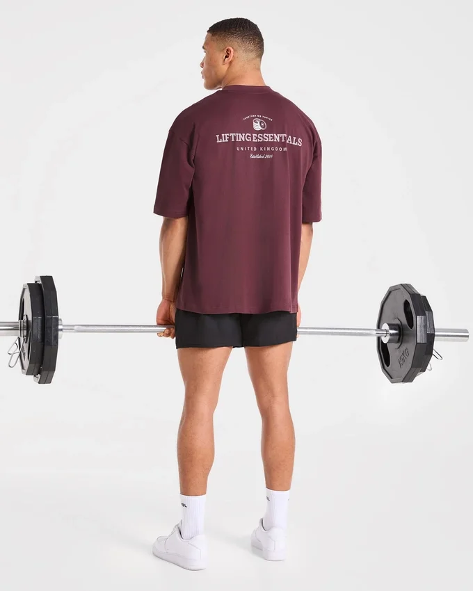 Apex Lifting Essential Oversize-T-Shirt