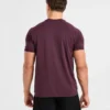 Ascend Seamless T-Shirt