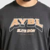 AYBL Elite Iron Oversized-T-Shirt