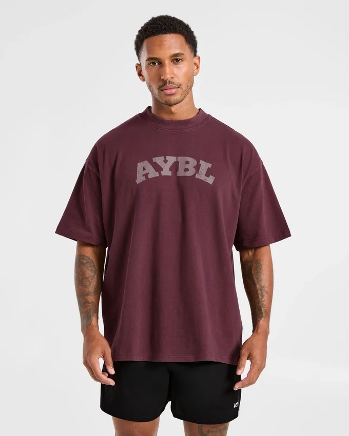 Elite Oversized-T-Shirt