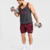Wesley Vissers x Old School Kontrast-Shorts